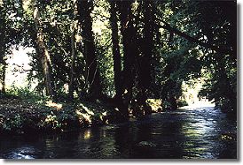L'Iton (rivière)