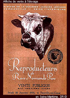 Affiche de vente à l'élevage en Seine-Maritime